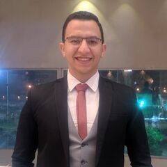 Ahmed Fadel, Highway technical office engineer