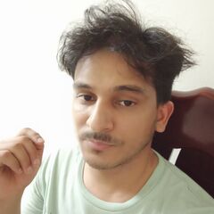 Syed Al Fazim, Senior Spring Boot Backend Developer