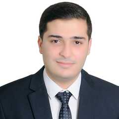 Ashraf Shawki, Civil Site Engineer