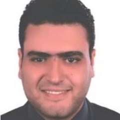 Mahmoud Elsamahy