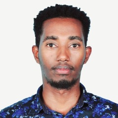 Mebratu Mengistu Mena مينا, Academic Teacher 
