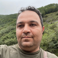 Mirhassan  Kabiri asl, Assembly Expert