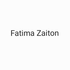 فاطمة Zaiton, Sales Manager