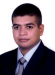 Mohamed Gamal Eldin, Transmission Solution Sr. Engineer [Project manager]