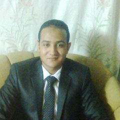 فتحي صالح فتحي