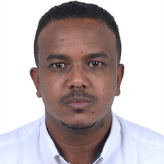 mohammed bulla, Planning Engineer/Delay Analyst
