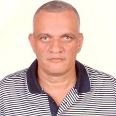 ياسر حماد محمد عبد الجواد الحسيني الحسيني, thired party inspector
