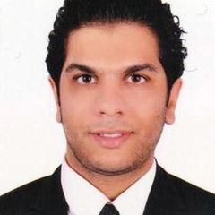 هشام أسامة محمد, Technical Support Engineer