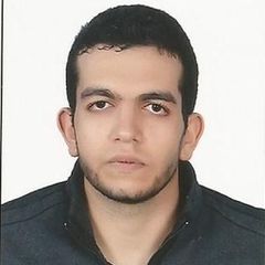 Mohammed Abdelhaleem Mohammed Elsayed SayedAhmed, Software Engineer