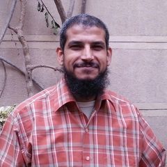 احمد محمد محمد حسن el-arini, 