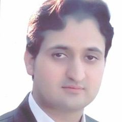 محمد سلمان خان, Audit Associate