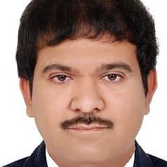 Raj Ramanujam, Principal Consultant