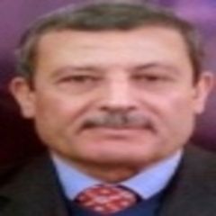 احمد القويسنى, General Manager of technical affairs