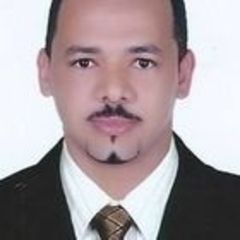 سيف الدين محي الدين احمد, تنفيذي المبيعات والتسويق