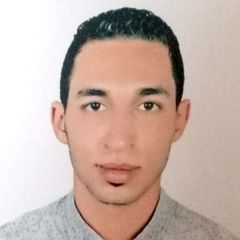 هشام احمد محمد