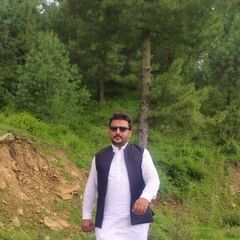 Hamid Ullah