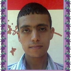 Ahmed saed ahmed Elganzory