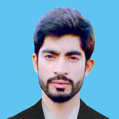 Muhammad Iltaf Hussain