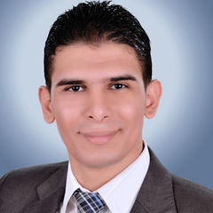 Ramy Mohamed Nasr El-Din, Team Leader