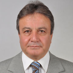 Mehmet Ozcan Ozturk, Deputy Project Manager