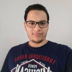 MohiEldin Mohamed Badawi MohiEldin, IT Applications Manager