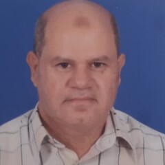 Mostafa Kassem, Project Manager Controls
