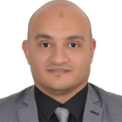 عمرو ابراهيم علي احمد, مدير حسابات