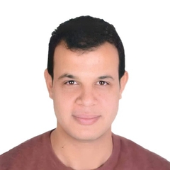 Mohamed Mostafa  Motawea