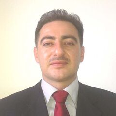 Mohamad Tarawneh, Civil Engineer