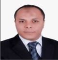 Ahmed Abd El Fattah, Shipping & Customs Coordinator