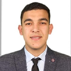 Mohamed Heiba