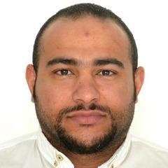 Mohammed Abdeldayem, Project Manager (PMC)