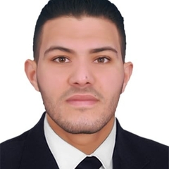 Ahmed Salah  Kadous , electrical project engineer