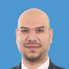 Naser Zaki, Finance Manager