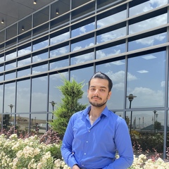 Arya Ardalan Ardalan, Accountant, Manager positon