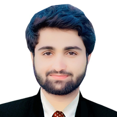 Muhammad Naseem Abbas