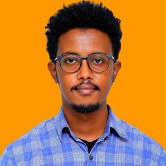 Dawit Hagos, Software Developer