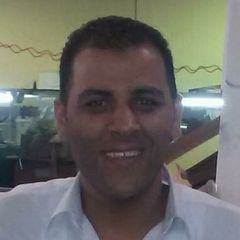 sherif adel hagag, manufacture manager