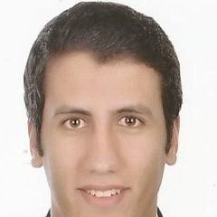 حسن حسين, Senior Oracle Application Database Administrator