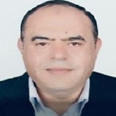 sherif Abu Elenain, Sales Business Development Manager