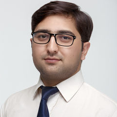 Muhammad Kamran, Finance Manager