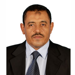 Adel Mohamed Mahmoud Mahmoud, IT Director