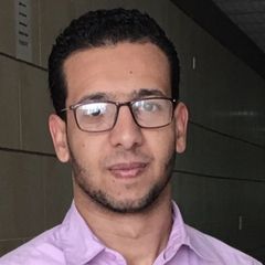 Mahmoud  Sayed Madian, محاسب