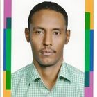 Haitham Mohammed Ibrahim Hag Hag, IT Supervisor