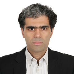 محمد Faisal, Finance Manager
