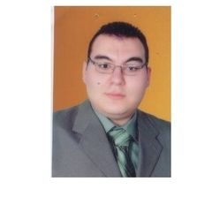 محمود أبوسريع, Accountant
