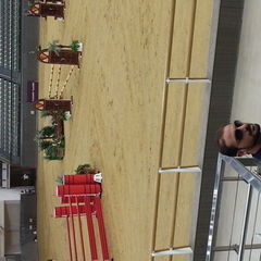 Ahed Qadora