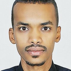 Ammar Izzeldin Mohamed Ahmed, Telecommunications Engineer