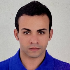 Ahmed Rabea, Driver