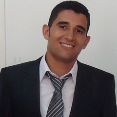 أحمد عبد الوهاب عامر, Software Developer